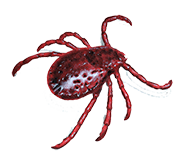 Trusted Pest Control Service